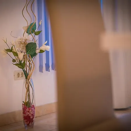 アパート Apartman Obala マカルスカ